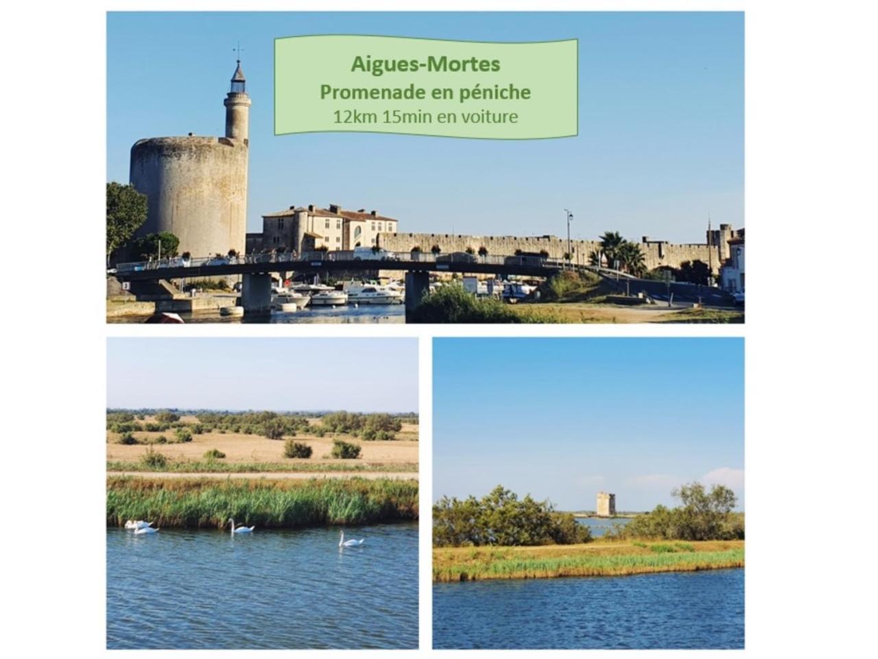 T2 Traversant Familial Cap Sud Parking Plages - Rossiconciergerie - Linge En Option La Grande-Motte Eksteriør bilde